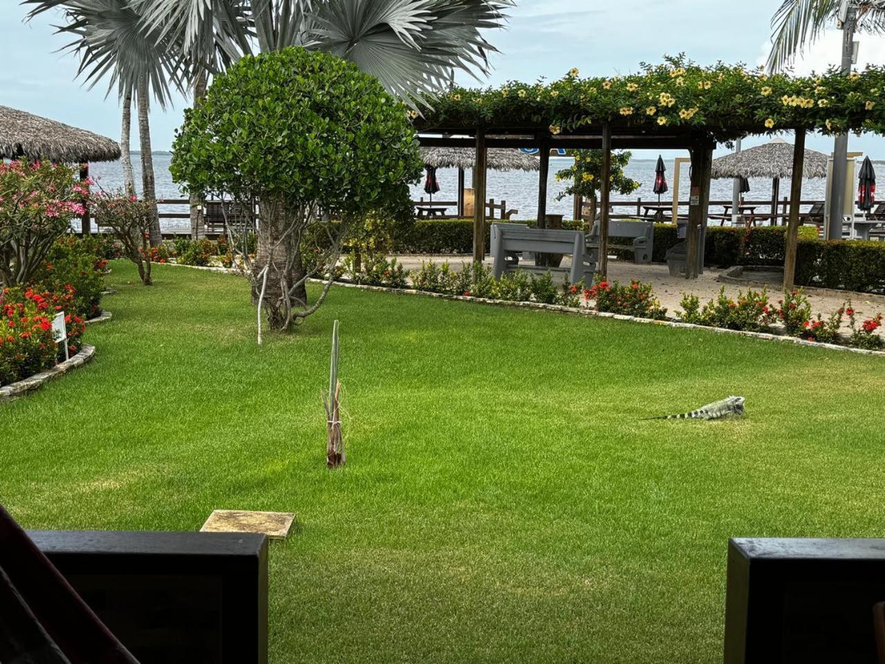 Pousada Jagata Tutóia المظهر الخارجي الصورة